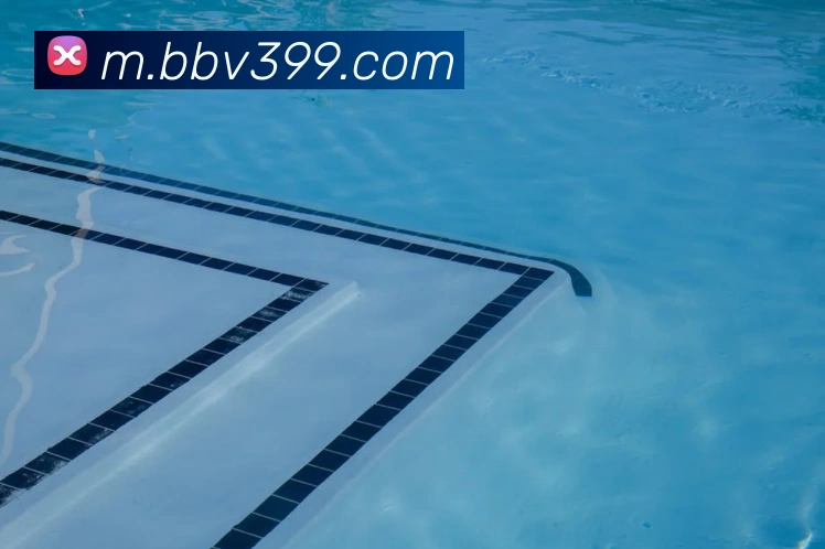 bbv体育官网APP 体育赛事宣传图